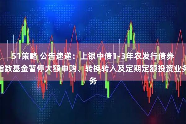 51策略 公告速递:上银中债1-3年农发行债券指数基金暂停大额申购、转换转入及定期定额投资业务